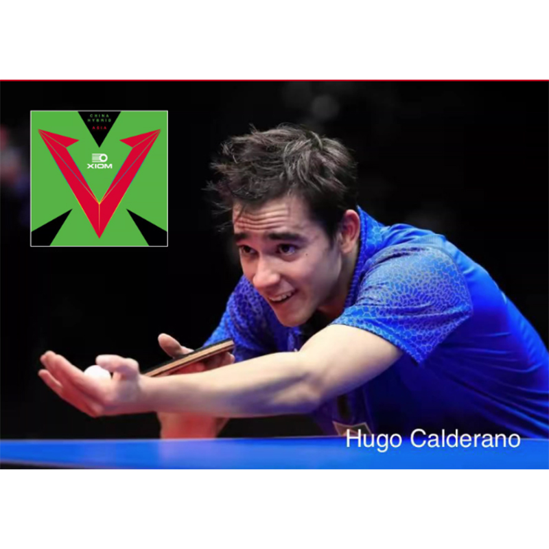 XIOM VEGA ASIA HYBRID 79-079 卓 - Table Tennis Hybrid Rubbers のレビューと価格